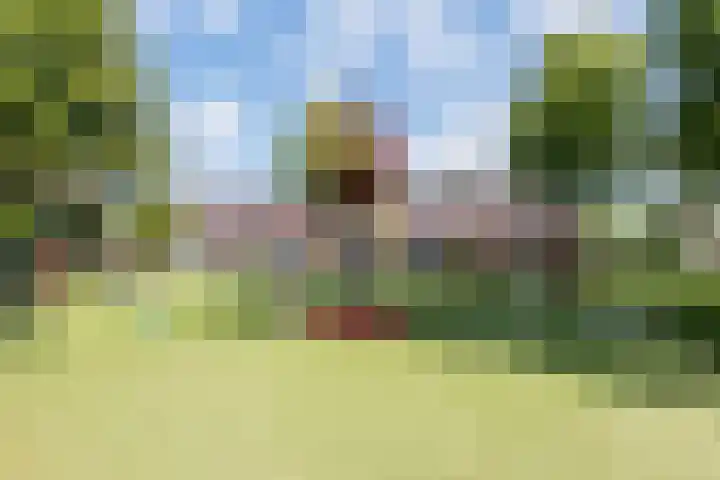 Kamp 21 8 Lelystad thumbnail 39