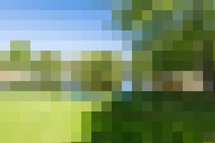 Kamp 21 8 Lelystad thumbnail 40