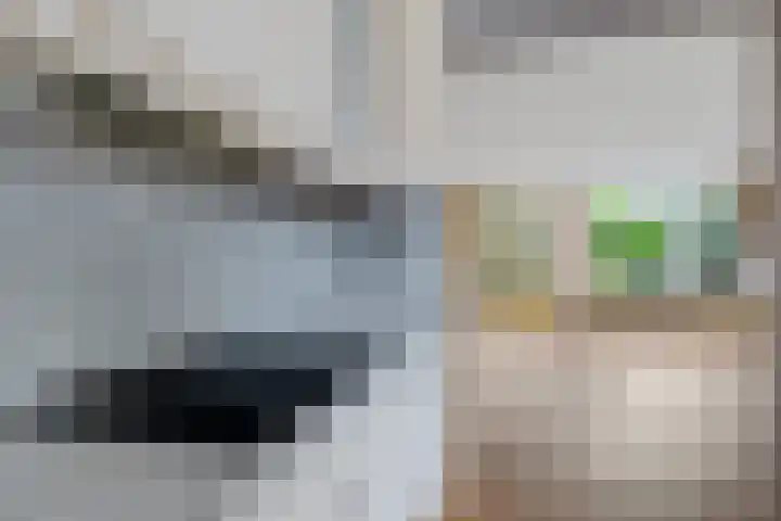 Kamp 22 2 Lelystad thumbnail 8