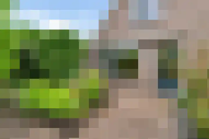 Kamp 22 22 2 Lelystad thumbnail 18