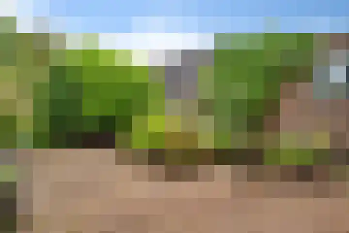 Kamp 22 22 2 Lelystad thumbnail 19
