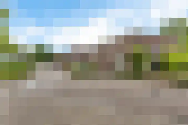 Kamp 22 22 2 Lelystad thumbnail 21