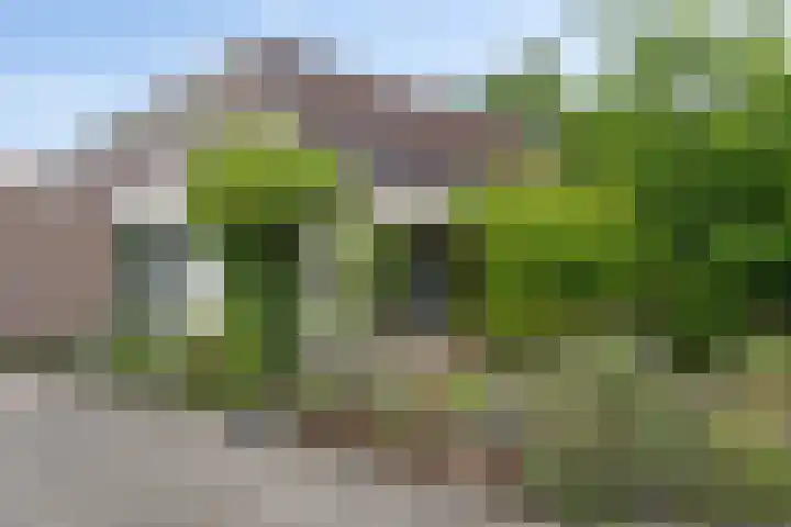 Kamp 22 22 2 Lelystad thumbnail 22