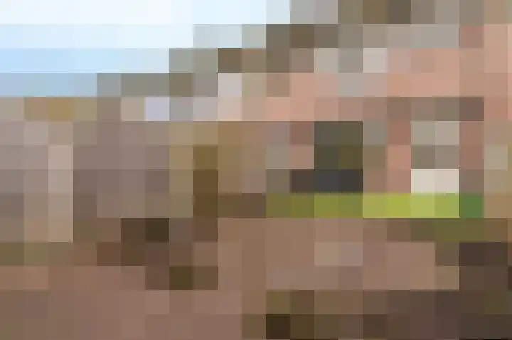 Kamp 22 9 Lelystad thumbnail 30