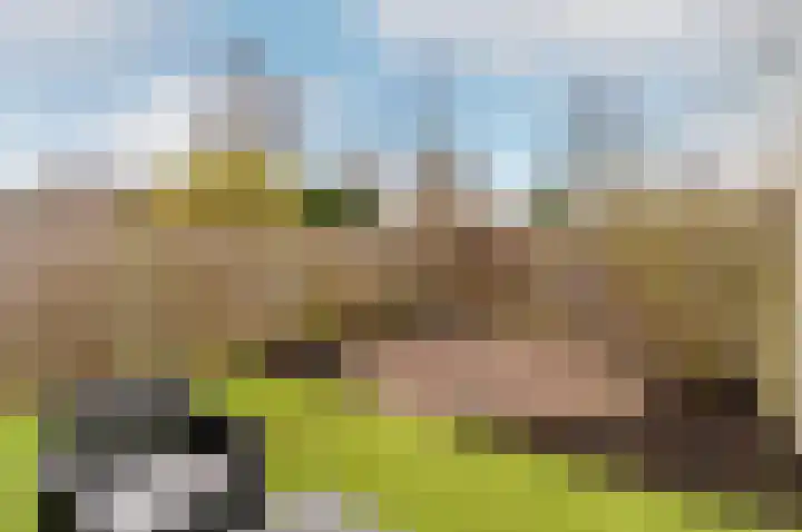 Kamp 22 9 Lelystad thumbnail 5