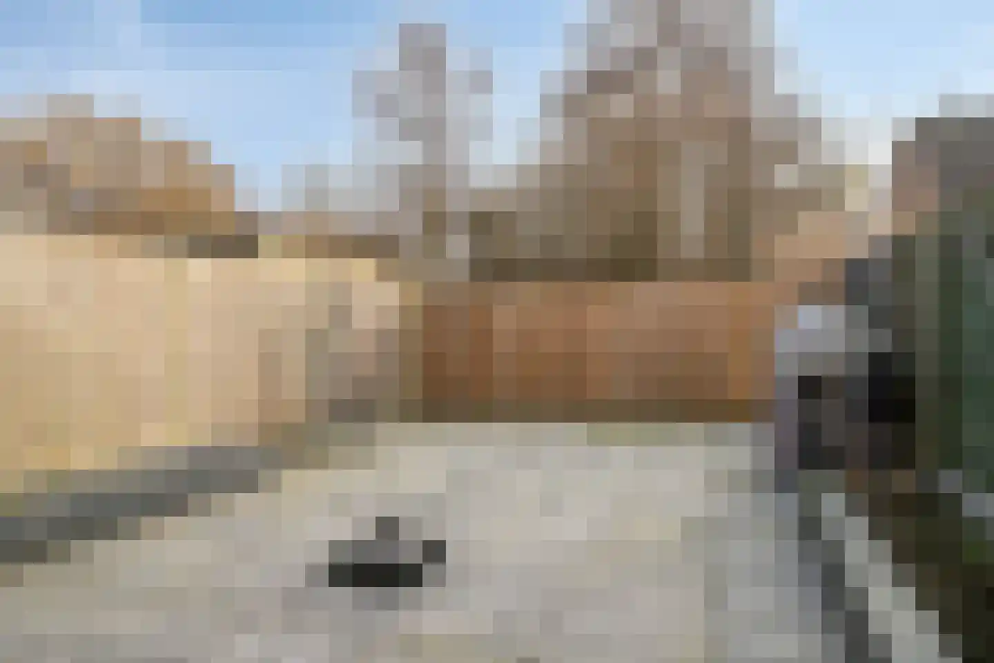 Kamp 26 26 30 Lelystad thumbnail 30