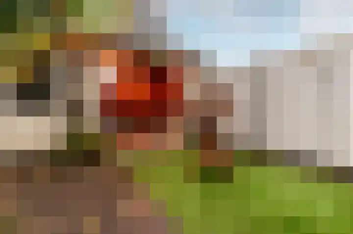Kamp 26 26 32 Lelystad thumbnail 31