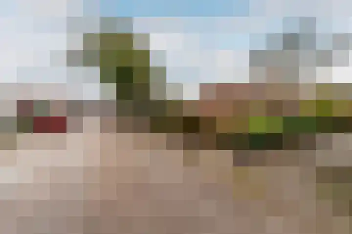 Kamp 26 26 32 Lelystad thumbnail 39