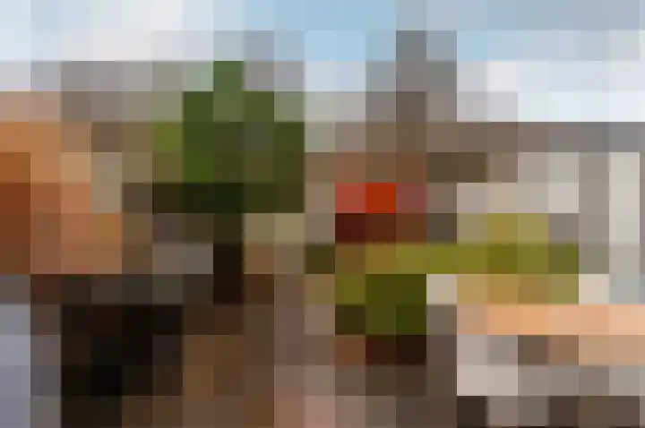 Kamp 26 32 Lelystad thumbnail 29