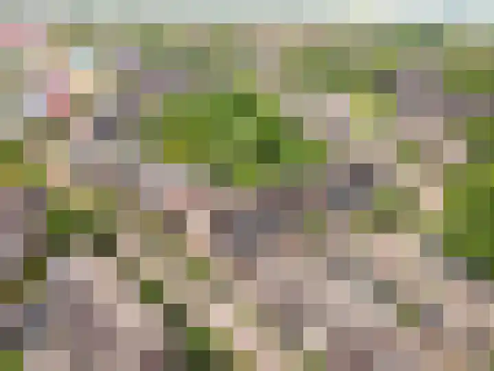 Kamp 26 62 Lelystad thumbnail 43