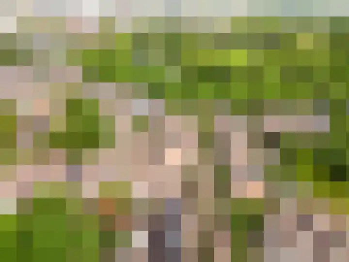 Kamp 26 62 Lelystad thumbnail 44