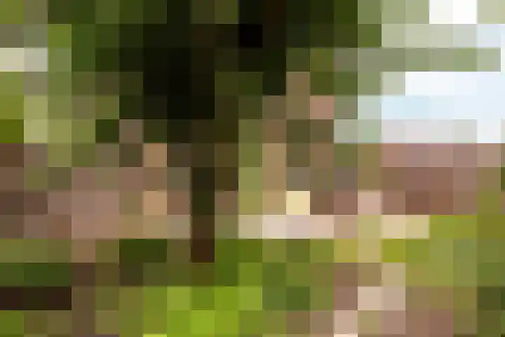 Kamp 27 1 Lelystad thumbnail 27