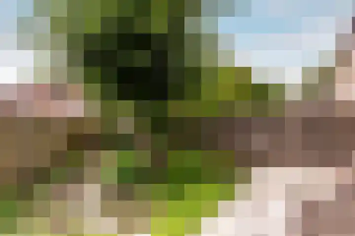 Kamp 27 1 Lelystad thumbnail 29