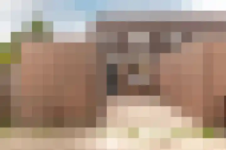 Kamp 27 1 Lelystad thumbnail 31