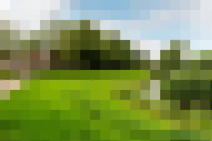 Kamp 27 1 Lelystad thumbnail 35