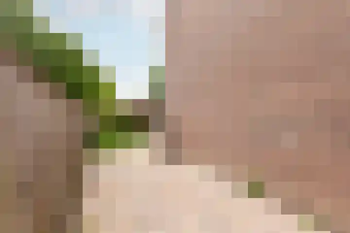Kamp 27 27 1 Lelystad thumbnail 30