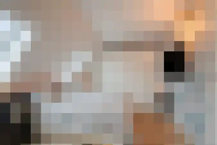 Kamp 27 27 70 Lelystad thumbnail 23