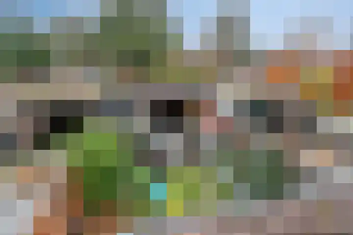 Kamp 27 27 70 Lelystad thumbnail 30