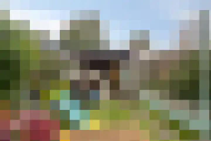 Kamp 27 27 70 Lelystad thumbnail 32