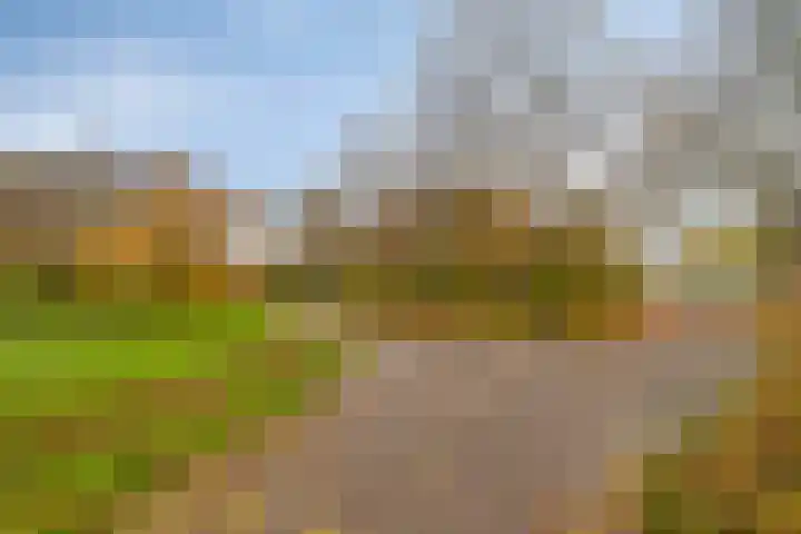 Kamp 27 27 70 Lelystad thumbnail 35
