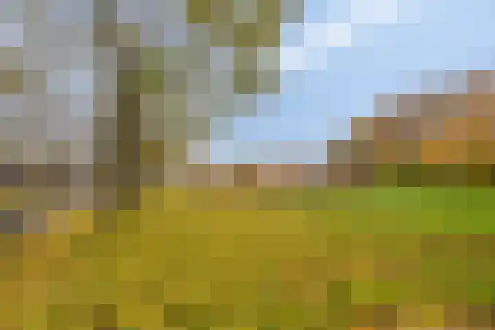 Kamp 27 27 70 Lelystad thumbnail 36