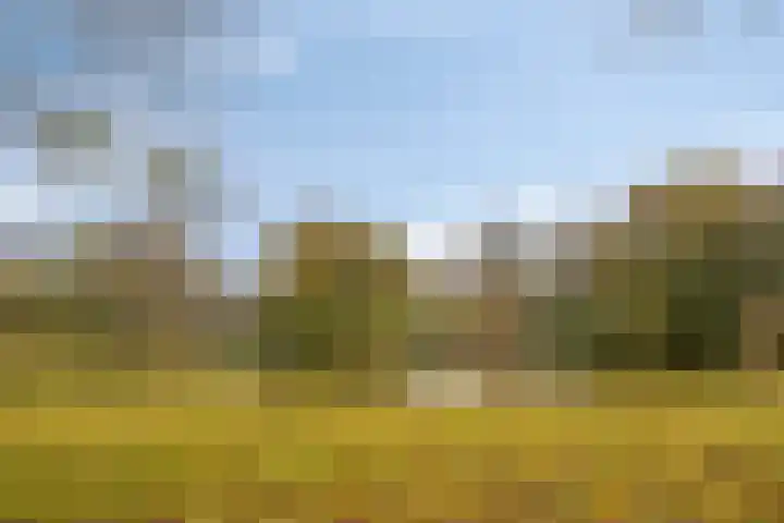 Kamp 27 27 70 Lelystad thumbnail 37