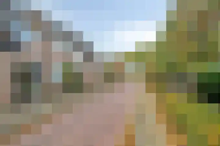 Kamp 27 27 70 Lelystad thumbnail 5
