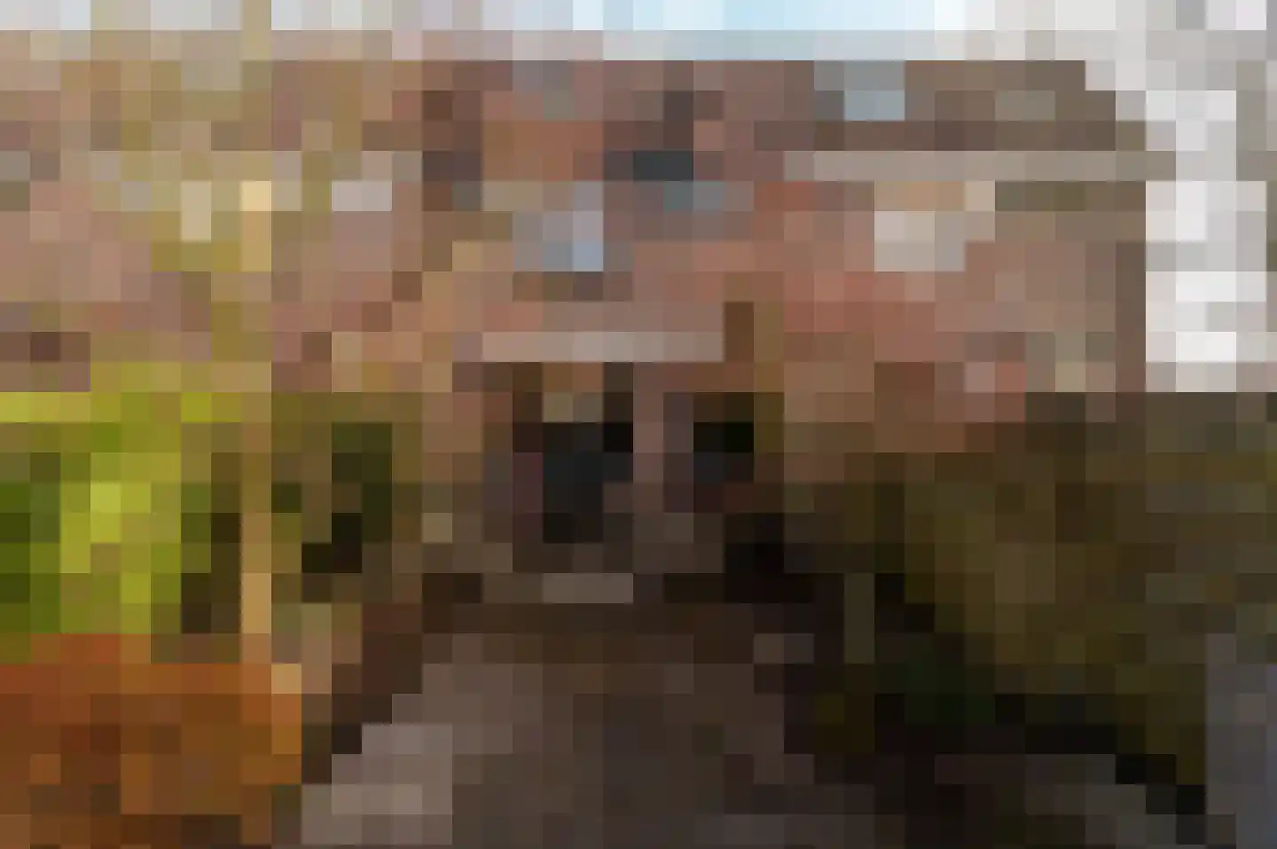 Kamp 27 3 Lelystad thumbnail 28