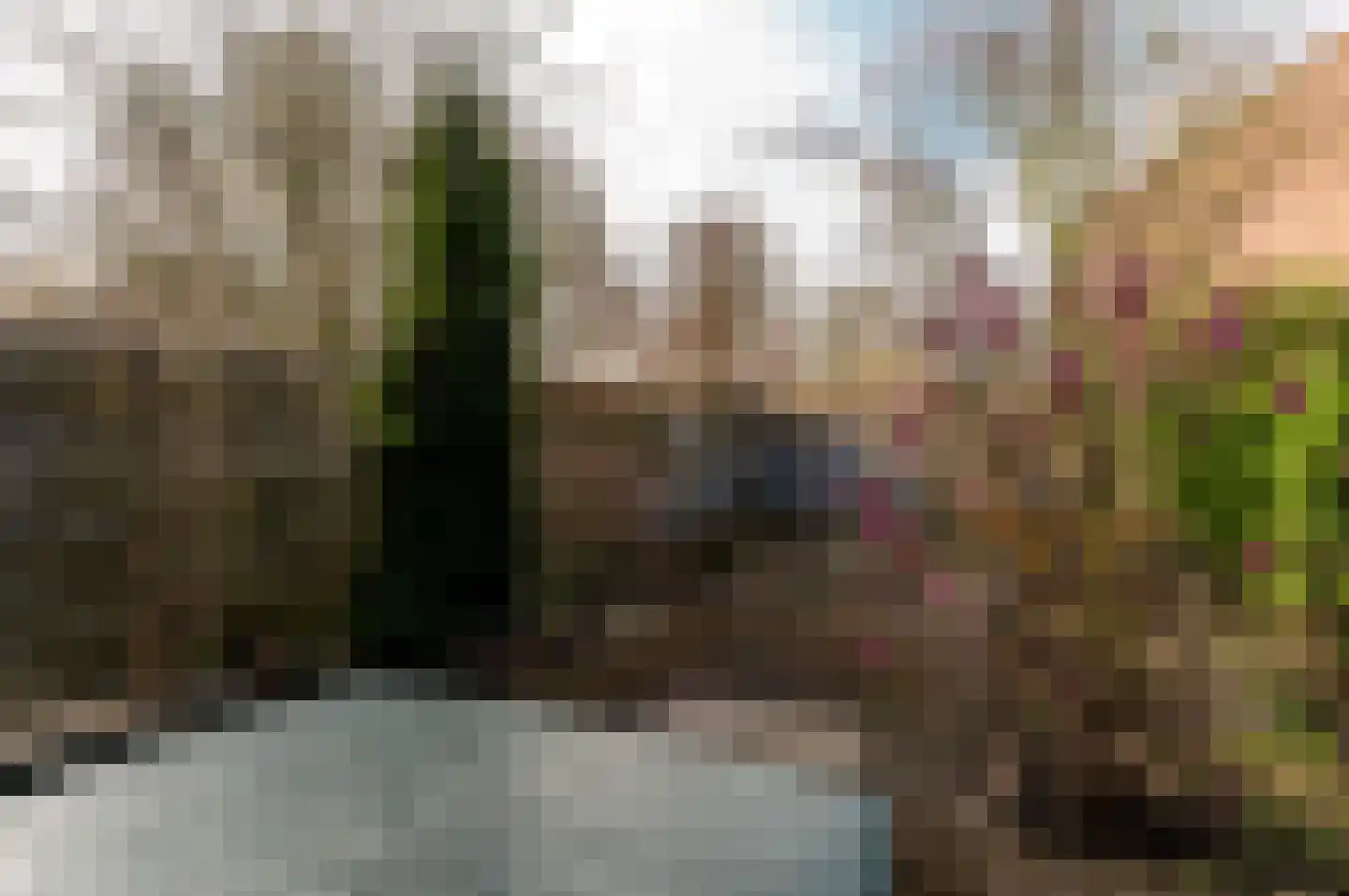 Kamp 27 3 Lelystad thumbnail 30