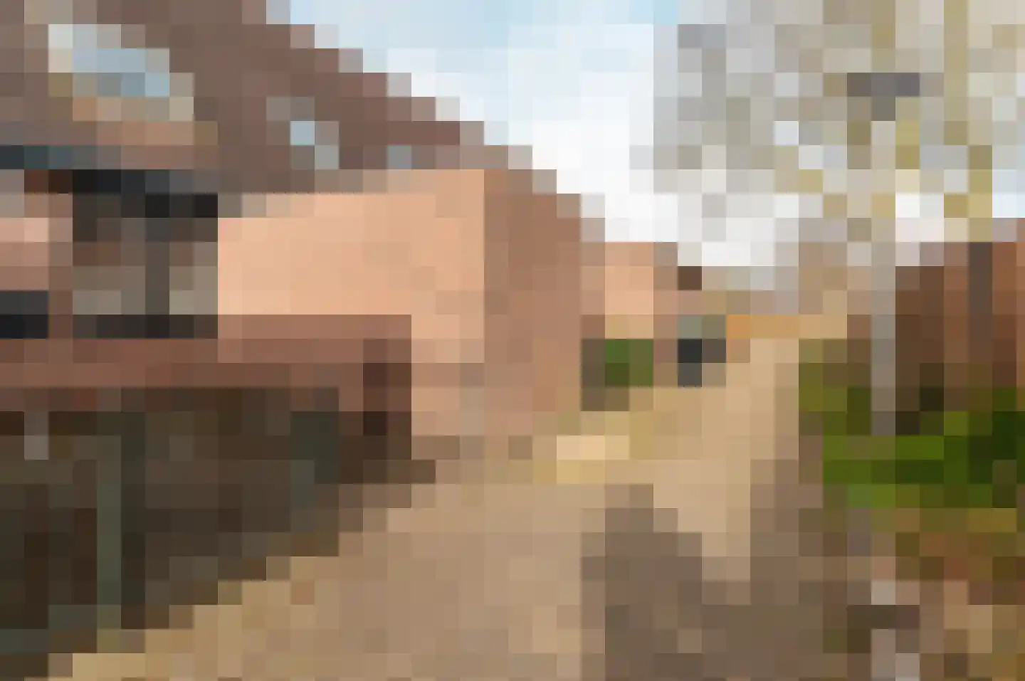 Kamp 27 3 Lelystad thumbnail 33