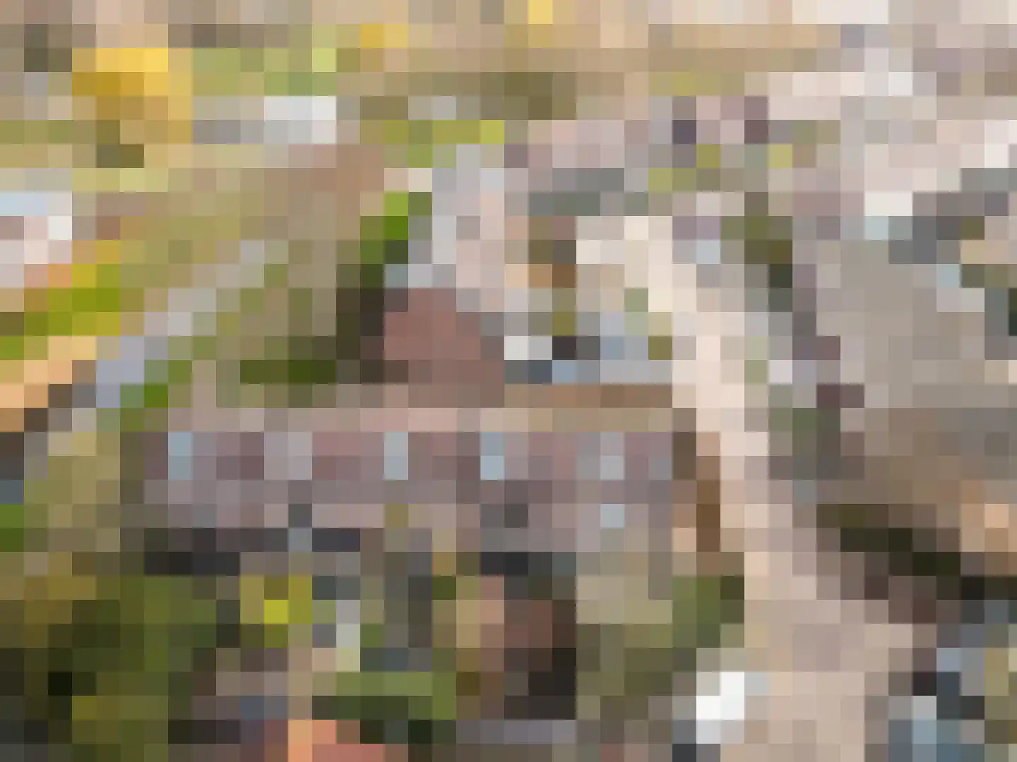 Kamp 27 3 Lelystad thumbnail 38