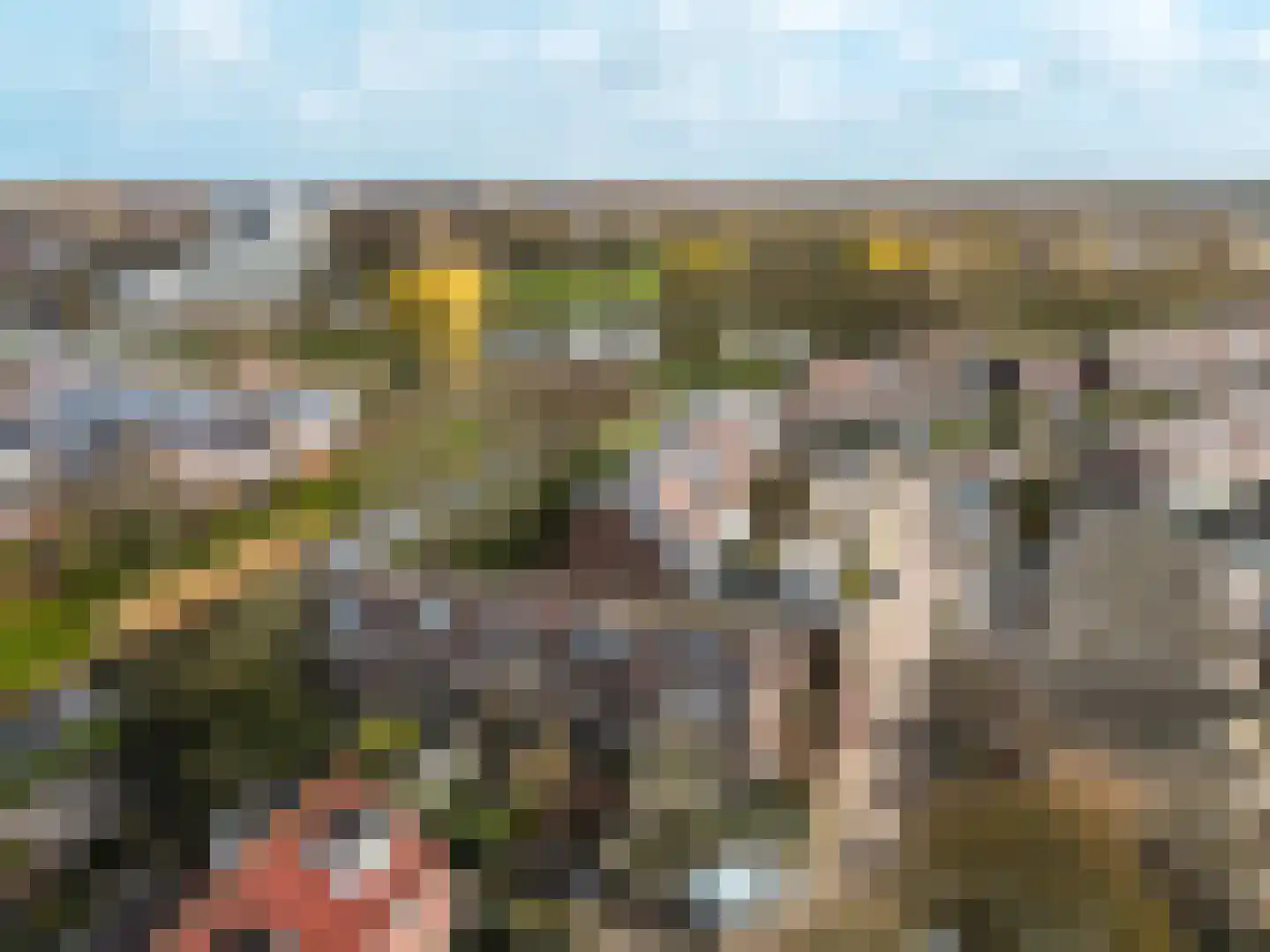 Kamp 27 3 Lelystad thumbnail 39