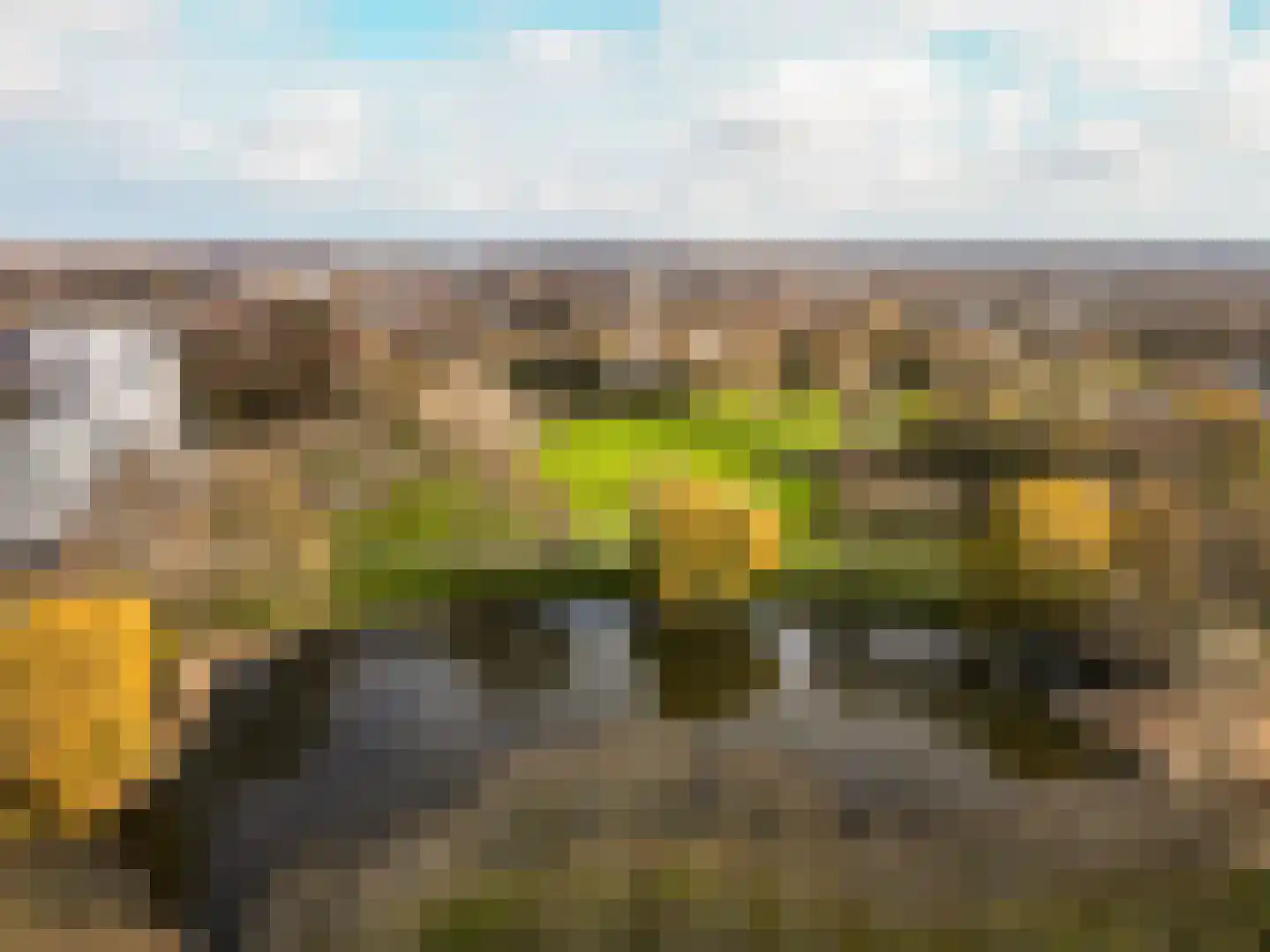 Kamp 27 3 Lelystad thumbnail 40