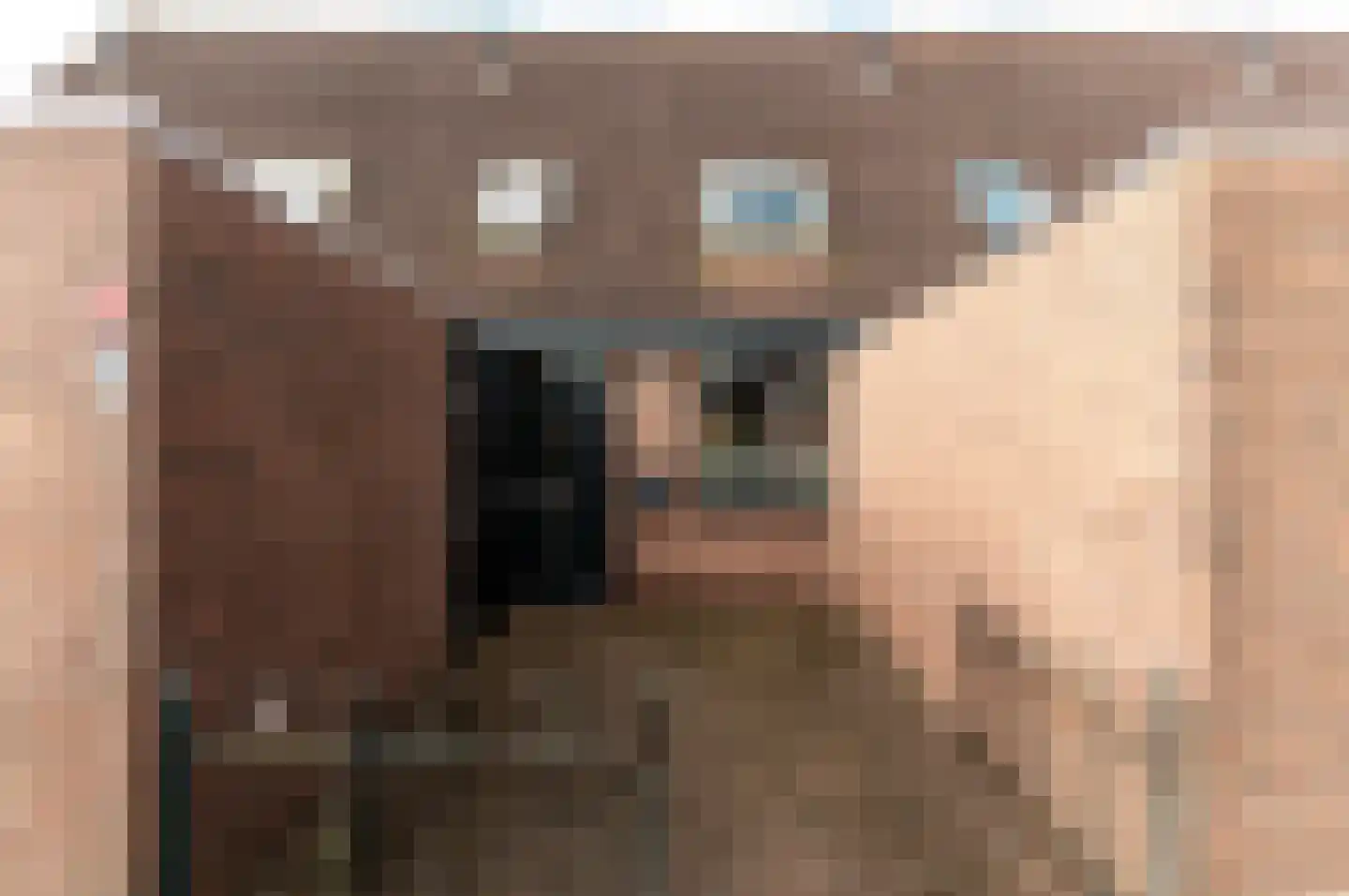 Kamp 27 3 Lelystad thumbnail 6