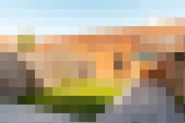 Kamp 33 23 Lelystad thumbnail 13