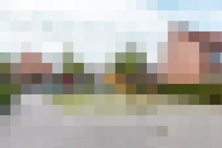 Kamp 33 23 Lelystad thumbnail 35