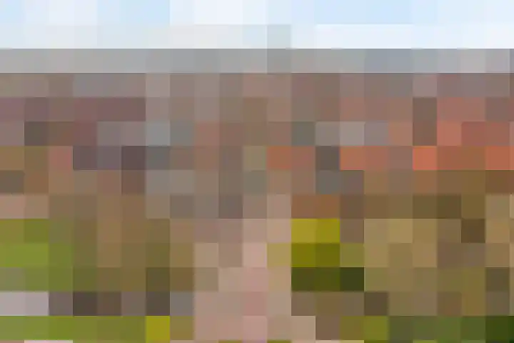 Kamp 66 A Amersfoort thumbnail 37