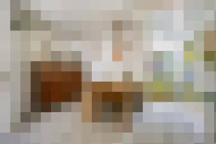 Kampakker 18 Breda thumbnail 10