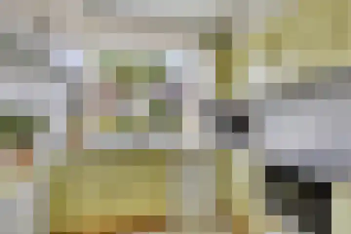 Kampakker 18 Breda thumbnail 11