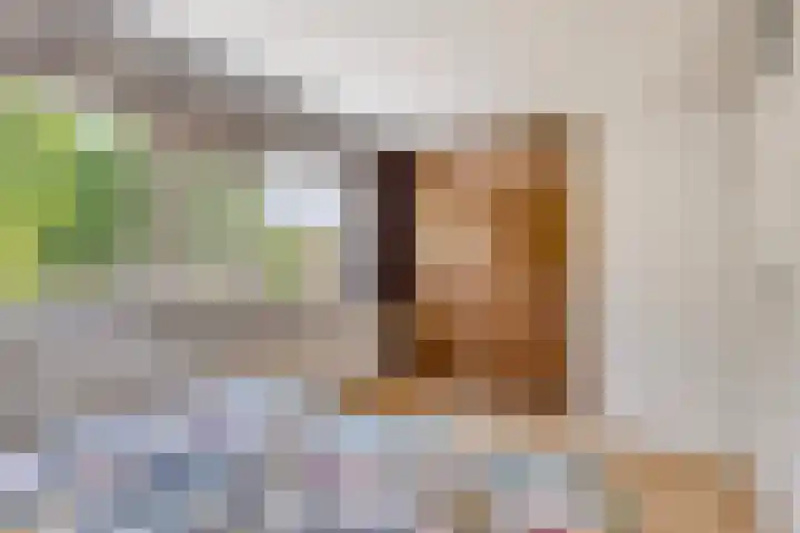 Kampakker 18 Breda thumbnail 15
