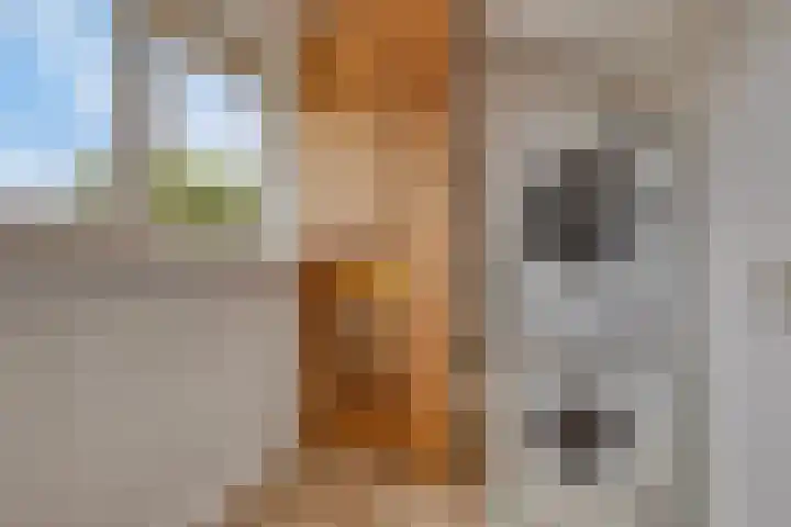 Kampakker 18 Breda thumbnail 21