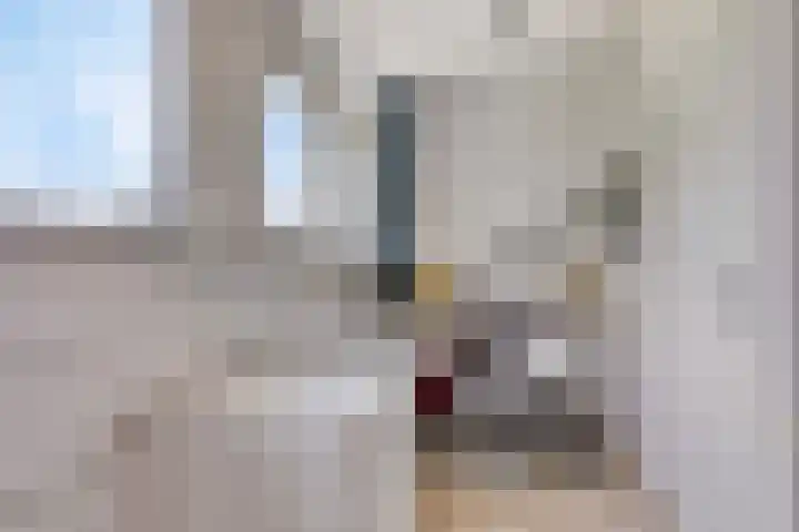 Kampakker 18 Breda thumbnail 23