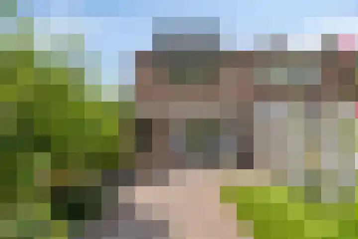 Kampakker 18 Breda thumbnail 24