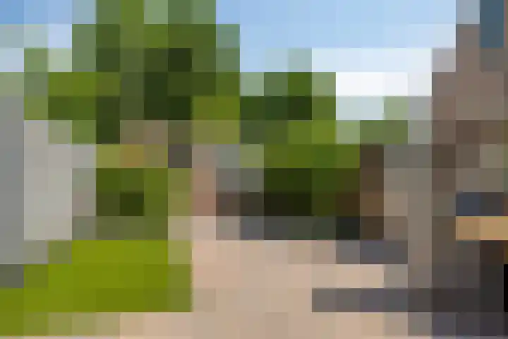 Kampakker 18 Breda thumbnail 25