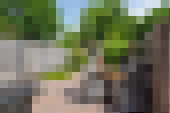 Kampakker 18 Breda thumbnail 26