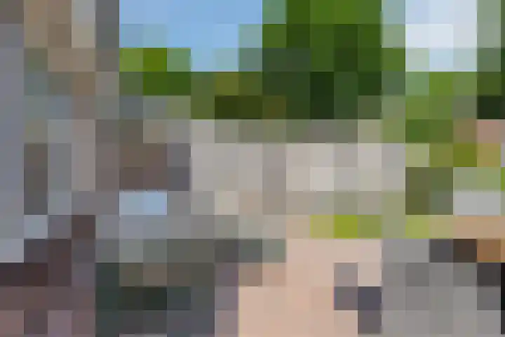 Kampakker 18 Breda thumbnail 27