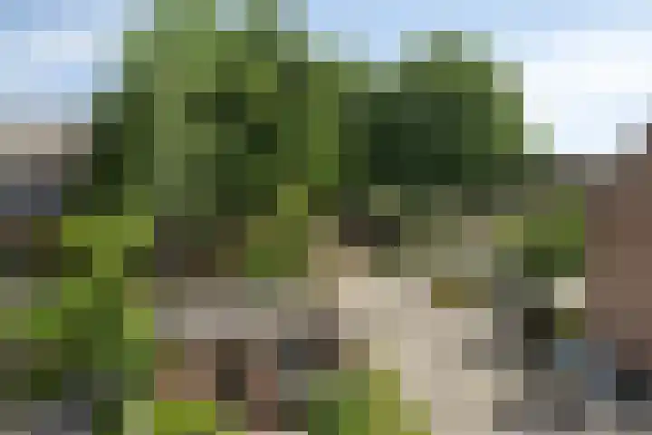 Kampakker 18 Breda thumbnail 30