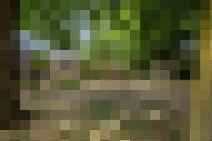 Kampakker 18 Breda thumbnail 31