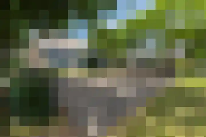 Kampakker 18 Breda thumbnail 32