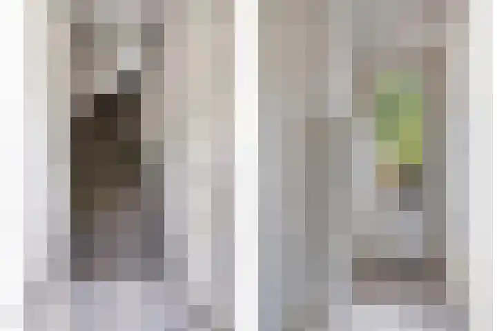 Kampakker 18 Breda thumbnail 5